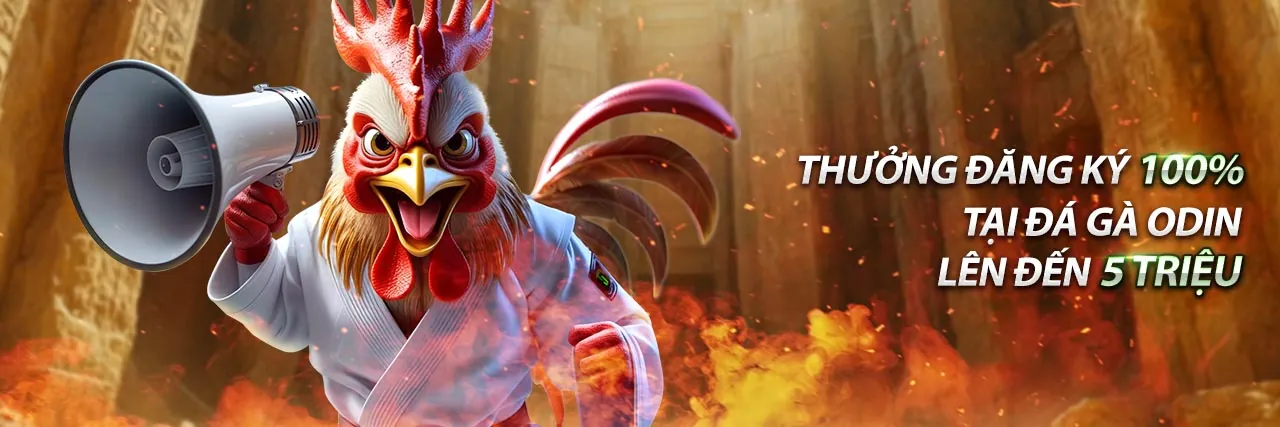 Hình ảnh minh họa chính sách quyền riêng tư và bảo mật dữ liệu tại tải đá gà thomo