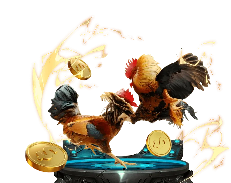 Hình ảnh một môi trường cá cược đá gà Thomo trực tuyến an toàn và công bằng